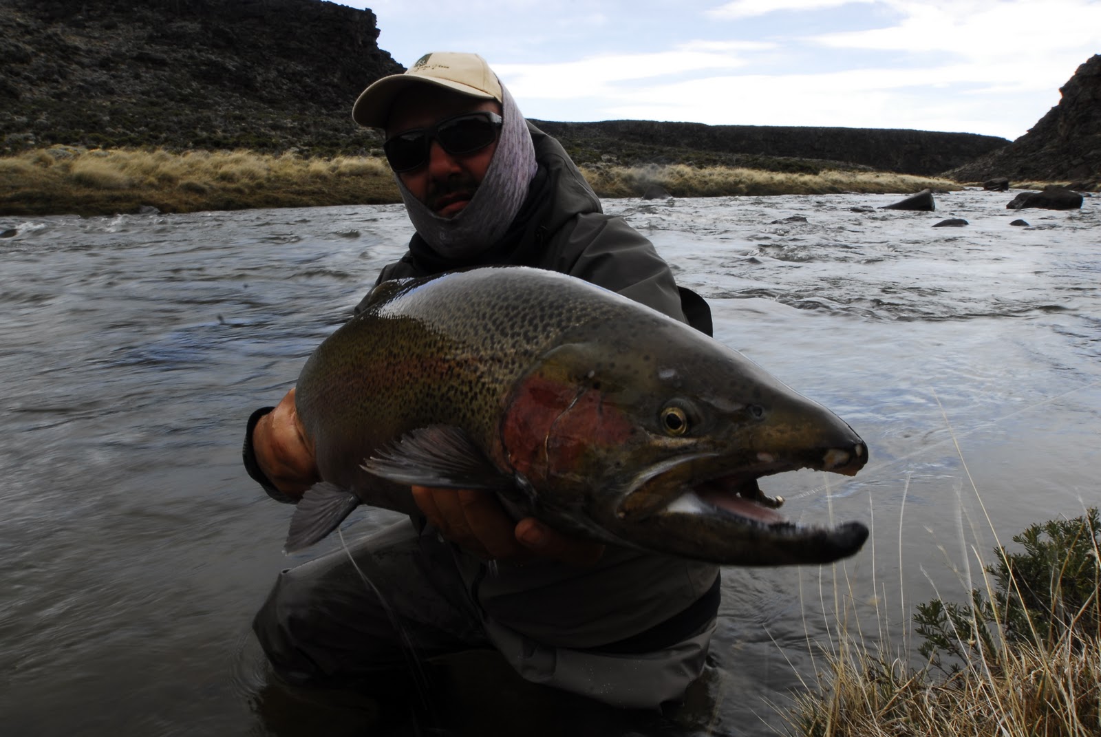 Sistema de Puntuación